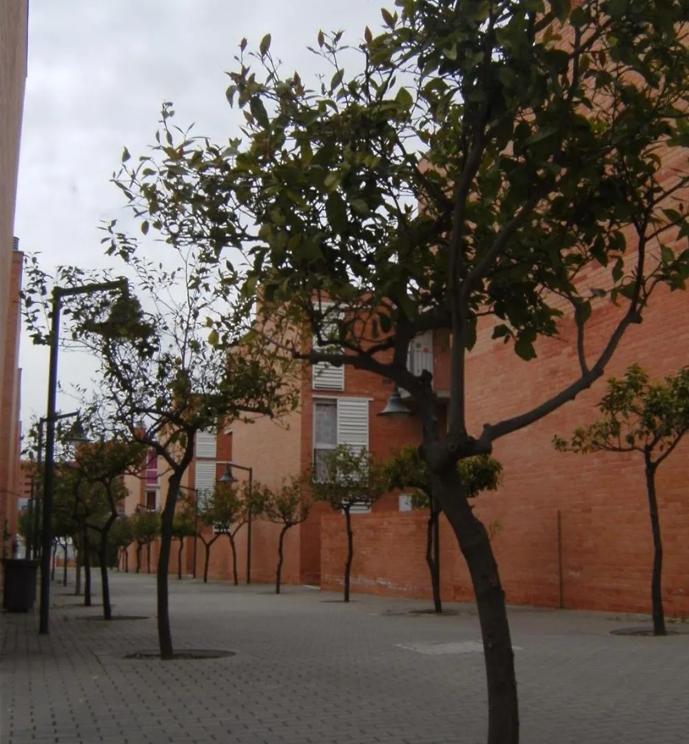 Students Only- Residencia Universitaria Alberto Jimenez Malaga 0*,